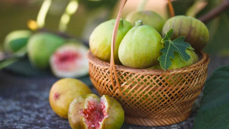 Fichi bianchi del Cilento e cioccolato di Modica, matrimonio perfetto